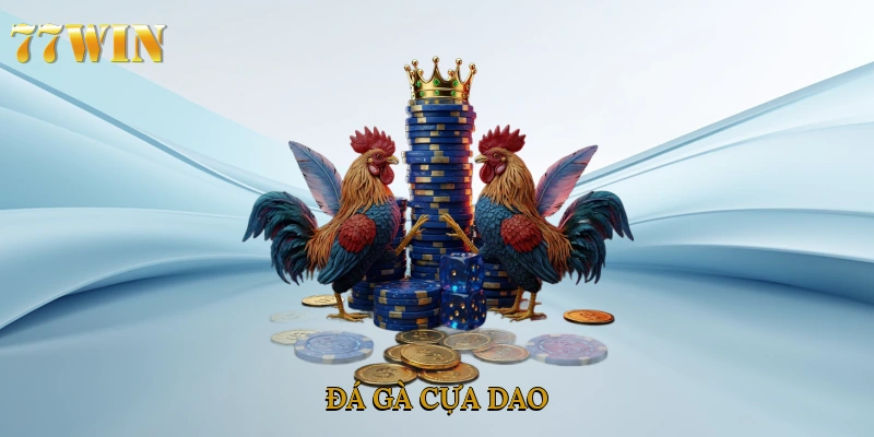 Đá gà cựa dao