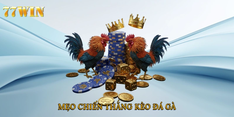 Mẹo chiến thắng kèo đá gà
