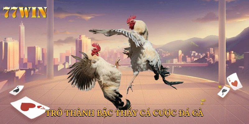 Trở thành bậc thầy cá cược đá gà