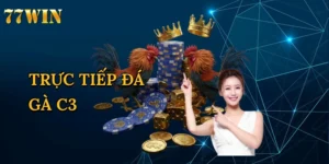 Trực Tiếp Đá Gà C3